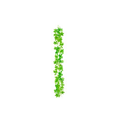Fototapeta na wymiar Letter I , beautiful green leaves isolated on white background,