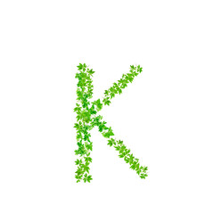 Letter K ,  beautiful green leaves isolated on white background,