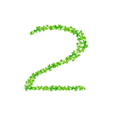 Letter 2,  beautiful green leaves isolated on white background,w