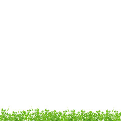 Obraz premium fresh green leaves ,natural green background,with clipping path.
