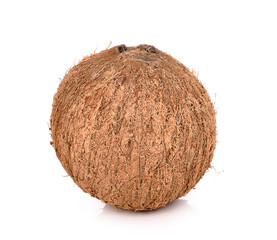coconut on white background