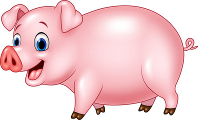 Cartoon funny pig isolated on white background