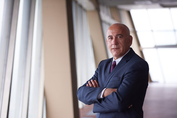 Fototapeta premium senior business man portrait