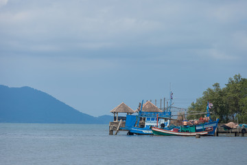 fishing boats at anchor in a harbor.