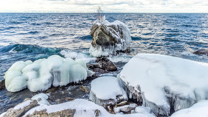 Байкальская черепаха