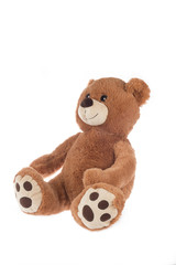Brown teddy bear, isolated
