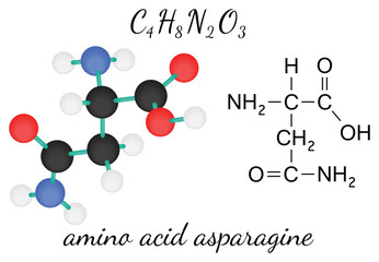 C4H8N2O3 asparagine amino acid molecule