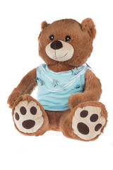 Teddy bear with blue shirt, isolated