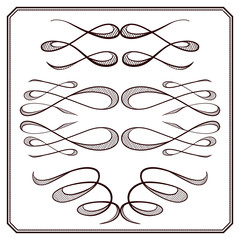 Vector calligraphy elements.