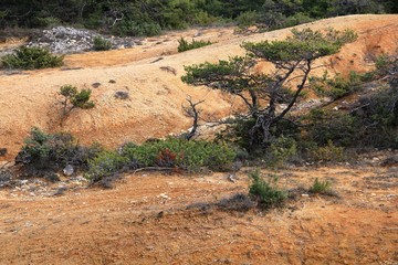 paysages de Haute Provence, 04