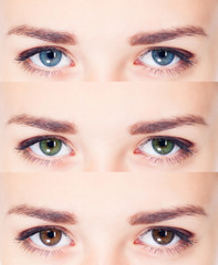 Naklejka premium Woman eyes collage