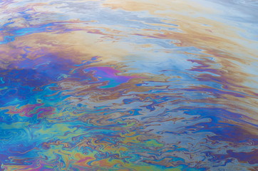 oil slick on the water