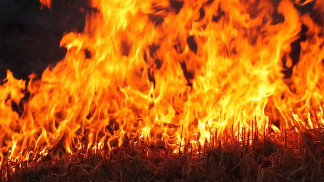 field burning. fire on sloping field