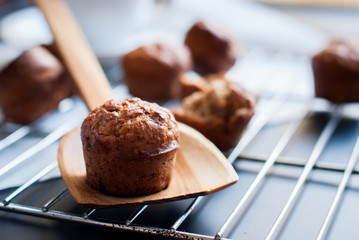 Tiny Banana Cupcakes on Metal Lattice. Toned
