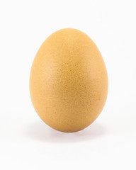 One Fresh Chicken Egg