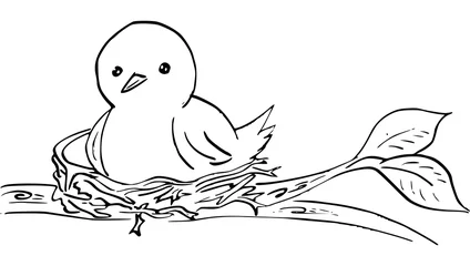 Fototapeten inkttekening van vogel op vogelnest © emieldelange