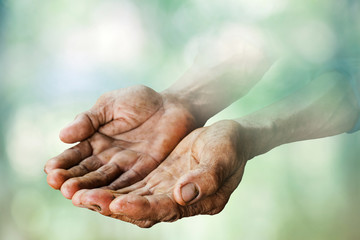 Fototapeta premium hands of old man asia on nature background.