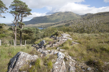 Open Countryside near Killary Fjord, Connemara National Park