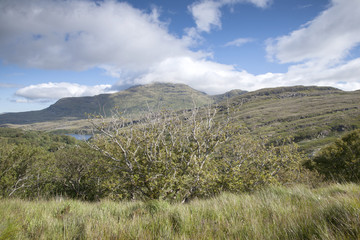 Fototapeta na wymiar Open Countryside near Killary Fjord, Connemara National Park