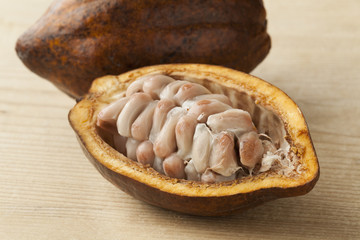 Cacao fruit and raw cocoa beans in the pod