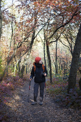 Fototapeta premium The girl with the backpack.