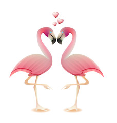 Flamingos heart love valentine concept