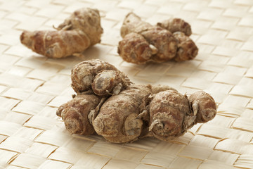 Fresh kencur rhizomes