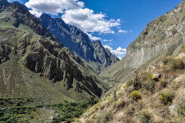 Fototapeta na wymiar View with vertigo in Colca Canyon, Peru
