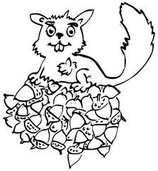 Eekhoorn op hoop eikels