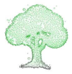 tree with oxygen bubbles Isolated on white background
