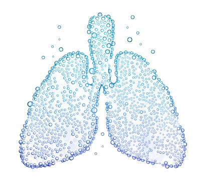 lungs with oxygen bubbles Isolated on white background