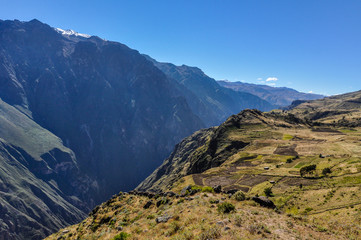 Obraz premium Colca Canyon view from Condors Cross, Peru