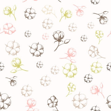 Hand drawn cotton flowers seamless pattern.