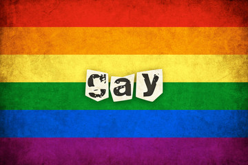 Grunge Rainbow flag illustration of gay and lesbian with text