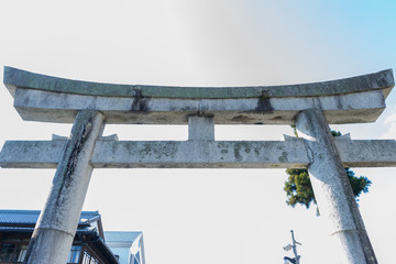 Image of Japanese culture, with a torii gateway at the entrance to a Shinto shrine
