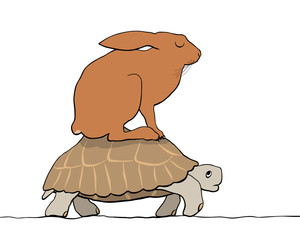 Hare and tortoise © Adrian Hillman
