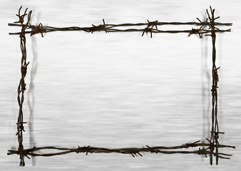 frame from barbed wire