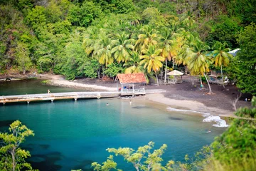 Fotobehang Caraïben Geweldig zwart zandstrand met kokospalm Anse Noire op het eiland Martinique, Caribbean