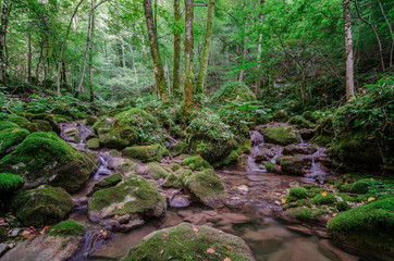 Rio Patok © sandrixroma