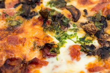 Obraz na płótnie Canvas Closeup of delicious pizza with herbs.