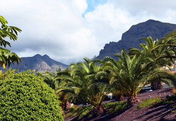 Fototapeta na wymiar Beautiful view of Torviscas Alto,Tenerife,Canary Islands.