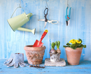 gardening with spring flowers and gardening tools