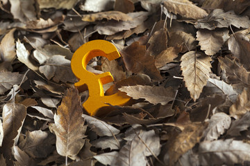 International economy money icon and currency unit on autumn leaves