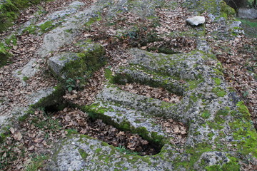 Tombes anthropomorphes du prieuré de Carluc