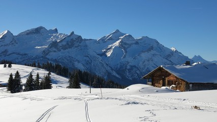 Fototapeta na wymiar Idyllic winter landscape near Gstaad