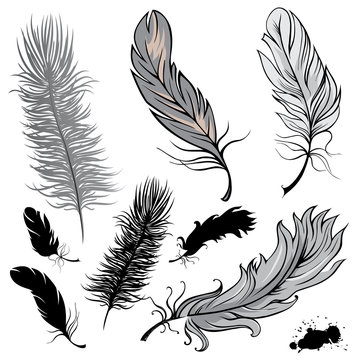 Set of feathers