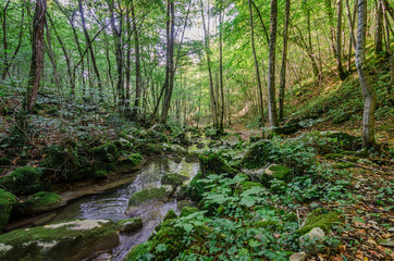 Rio Patok © sandrixroma