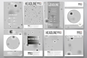 Set of business templates for brochure, flyer or booklet. Molecular research, cells in gray, science vector background