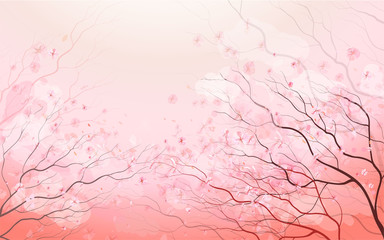 Sakura branch, spring floral background