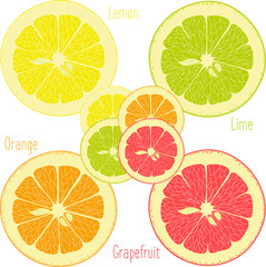 Fototapeta premium Lemon, lime, orange, pink grapefruit, pomelo on a transparent background